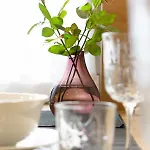 Toszeckie Apartment *