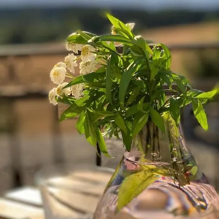 Διαμέρισμα Toszeckie *