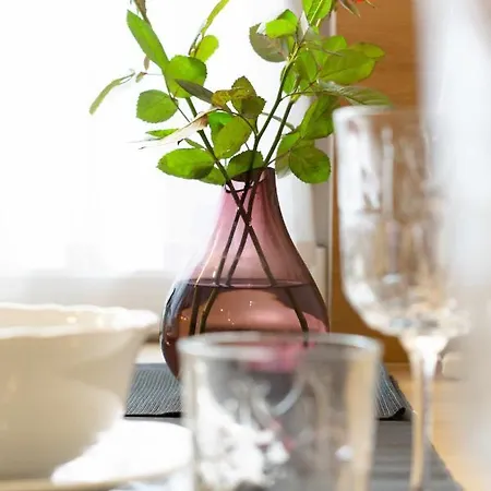 Toszeckie Apartment *