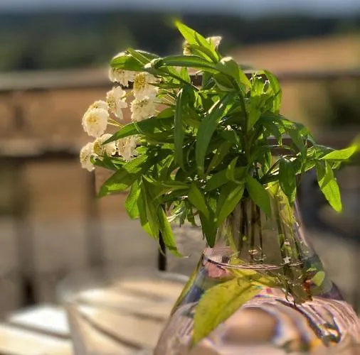 Apartamento Toszeckie *