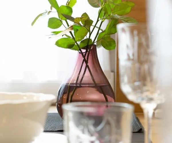 Toszeckie Apartamento *